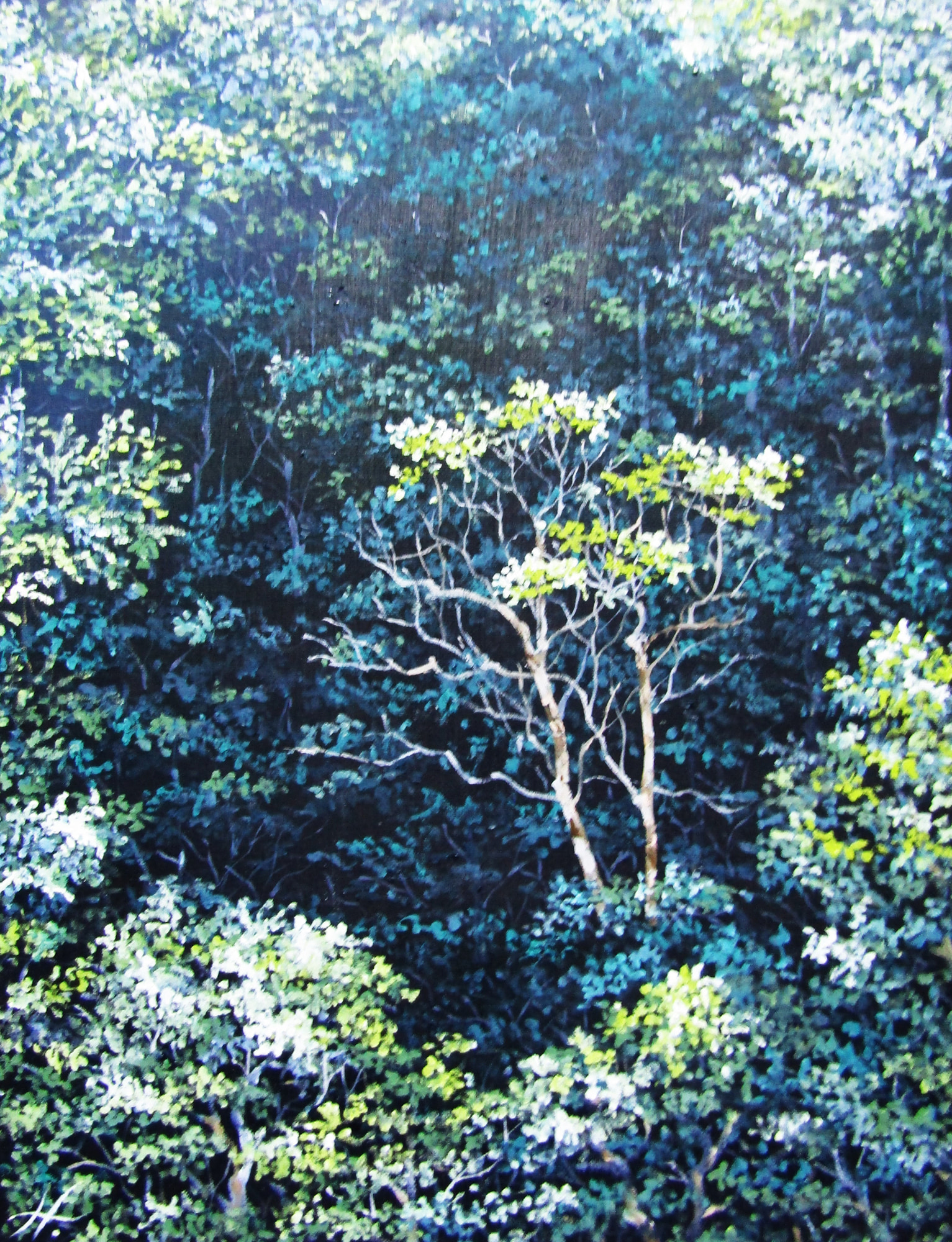 山の音の画像