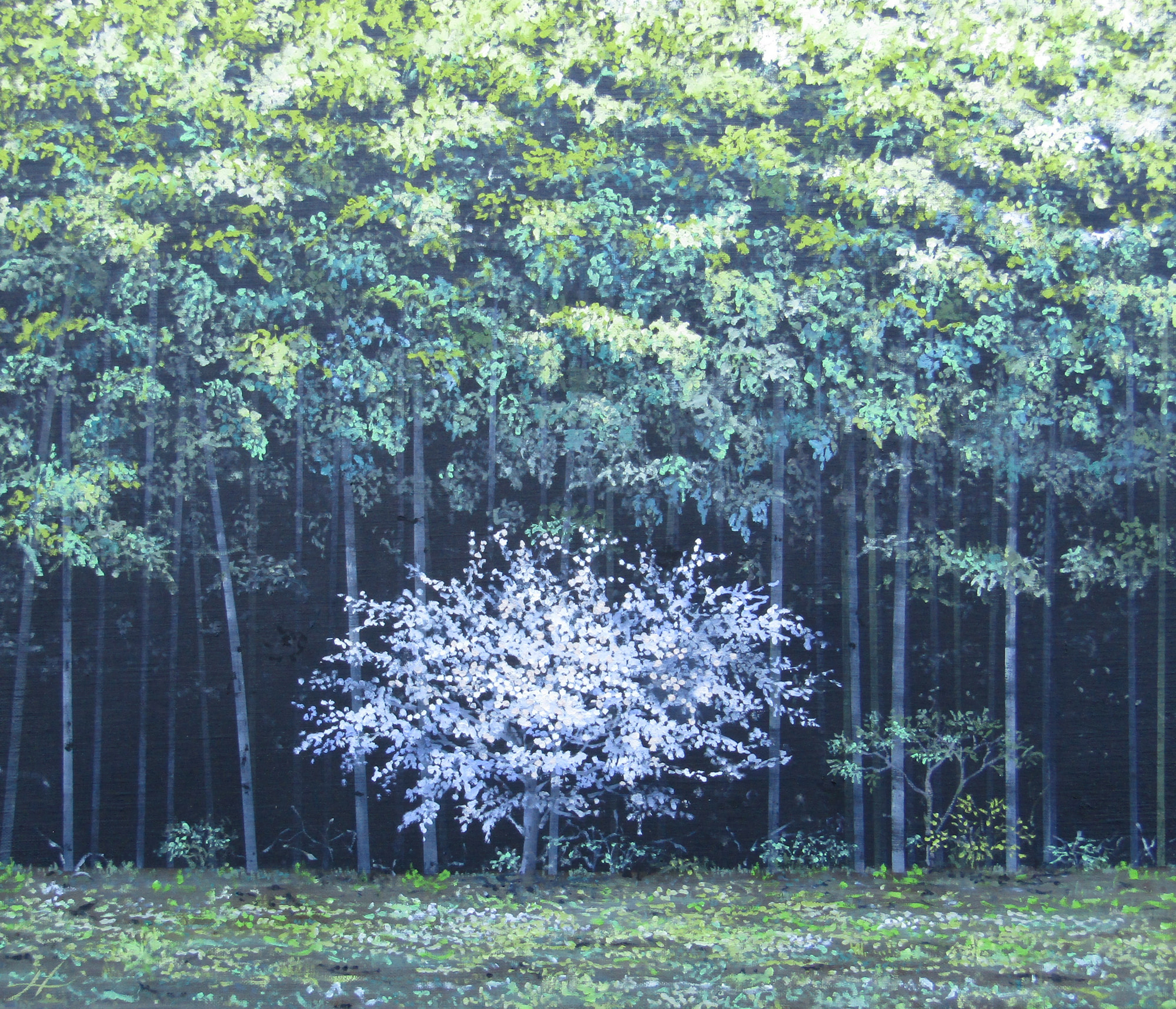 咲くの画像