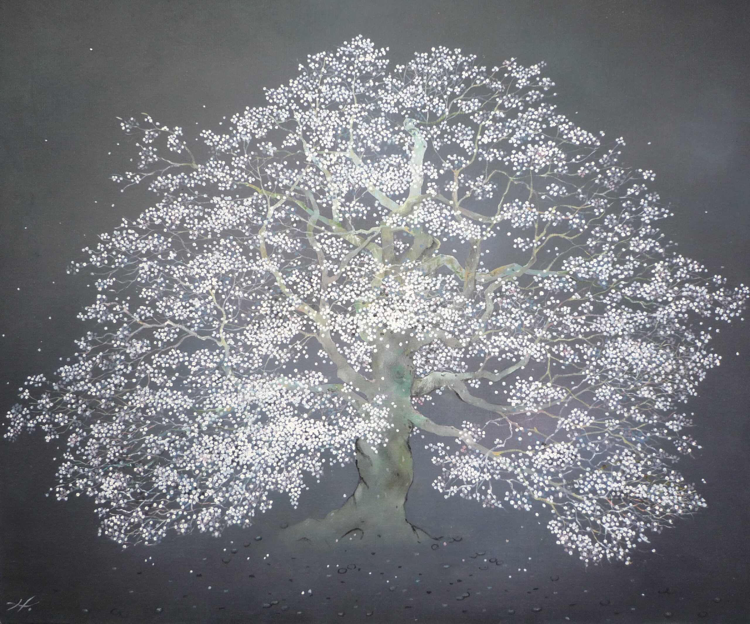 幻桜の画像