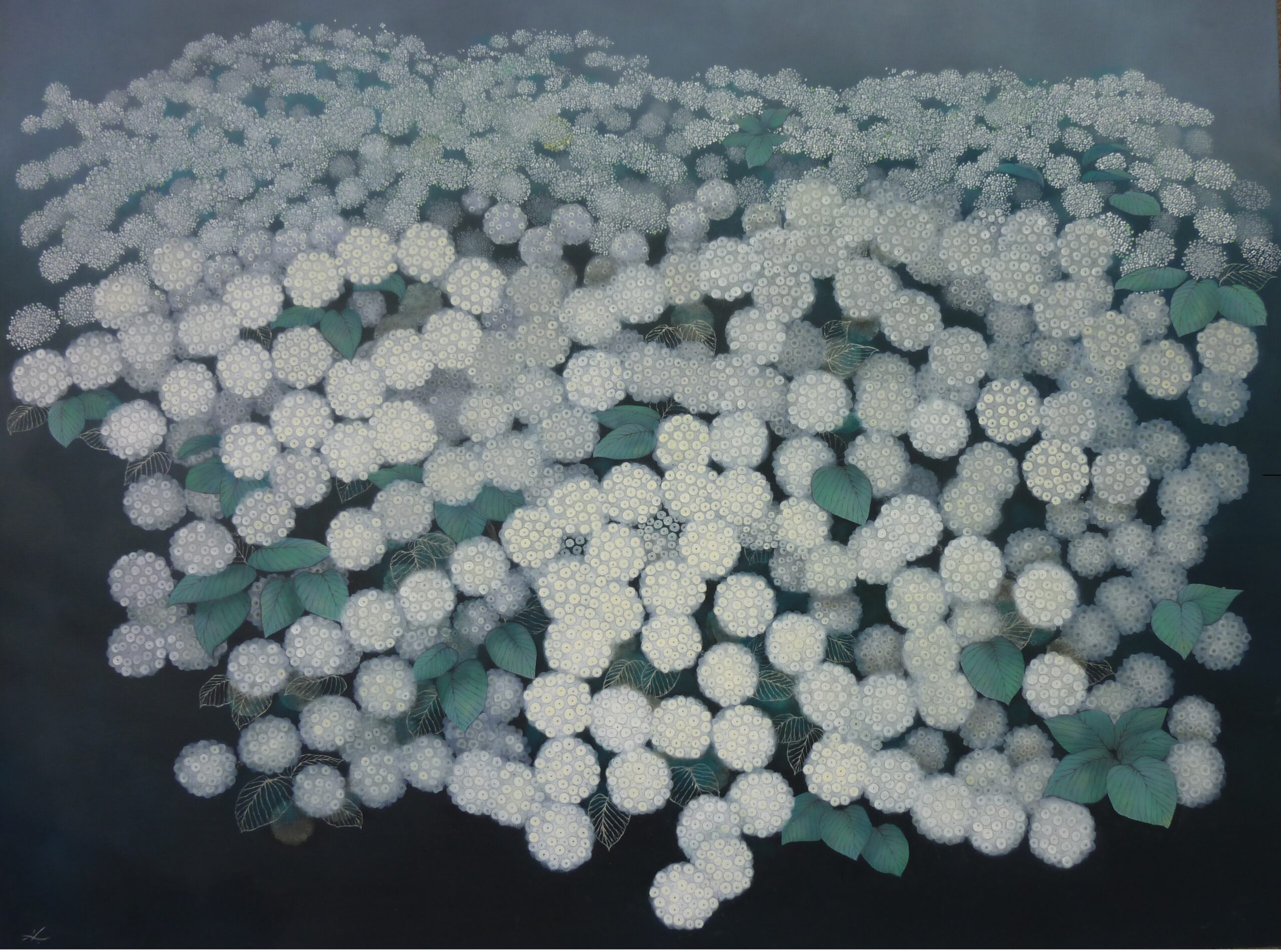 皓の華の画像